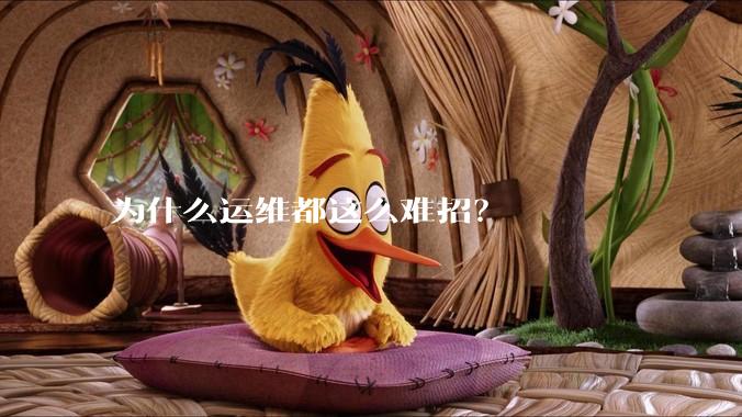 为什么运维都这么难招？