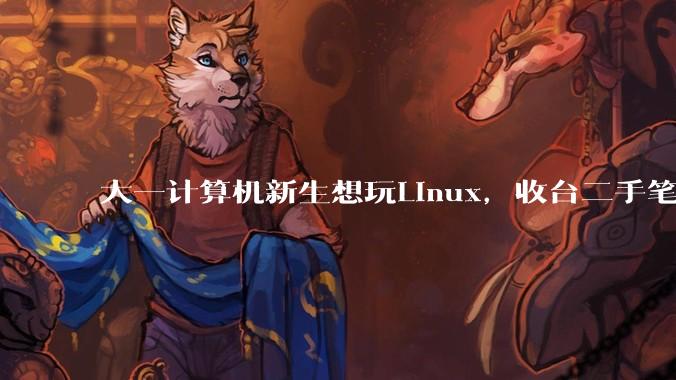 大一计算机新生想玩Linux，收台二手笔记本电脑重装系统是不是最优解?