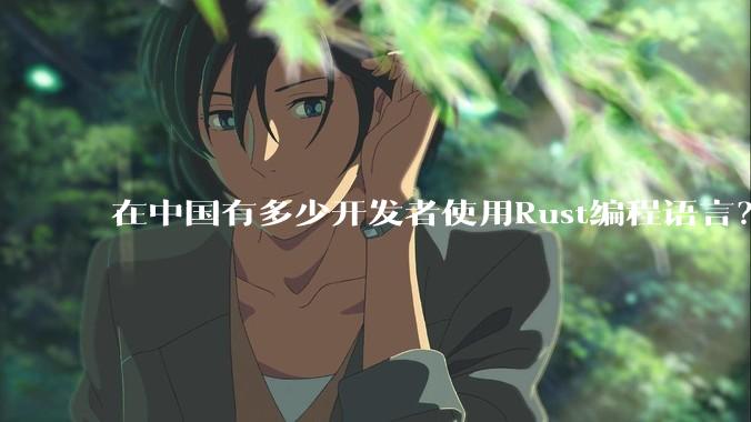 在中国有多少开发者使用Rust编程语言？
