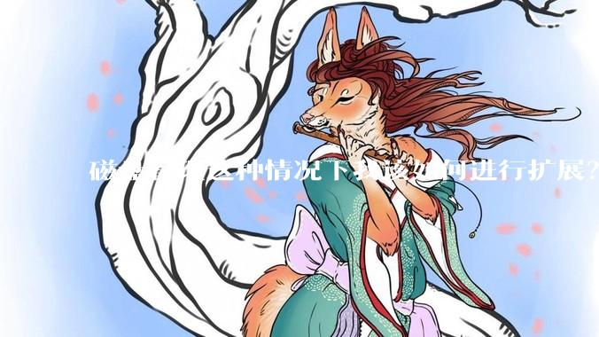 磁盘管理这种情况下我该如何进行扩展？