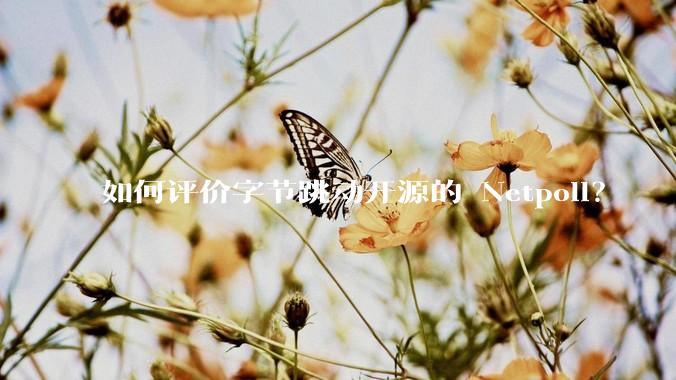 如何评价字节跳动开源的 Netpoll？