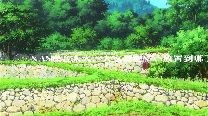 NAS噪音太大，大家都吧NAS放置到哪了？