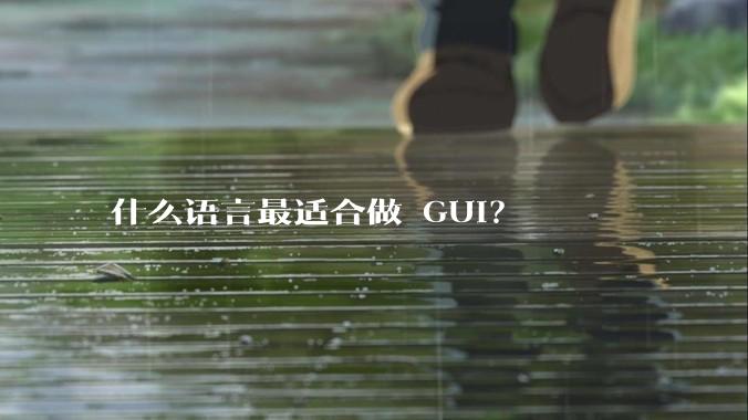什么语言最适合做 GUI？