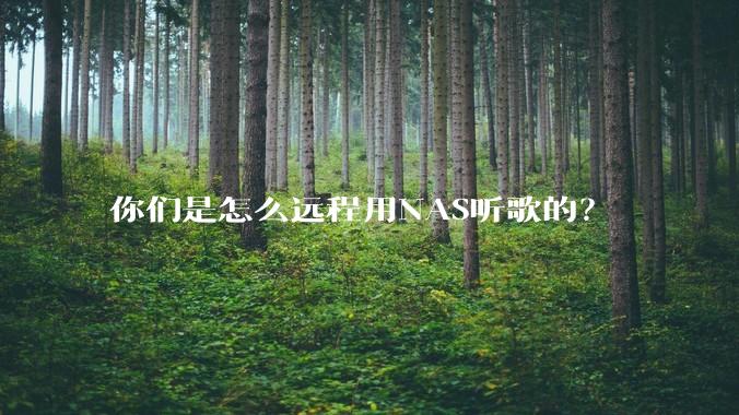 你们是怎么远程用NAS听歌的？