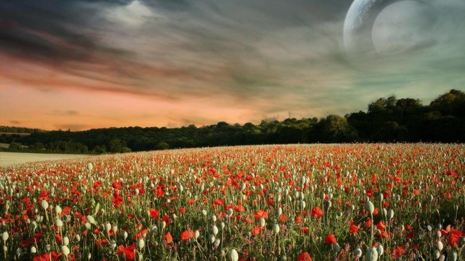 如何看待杨笠2025年6月成都专场取消？